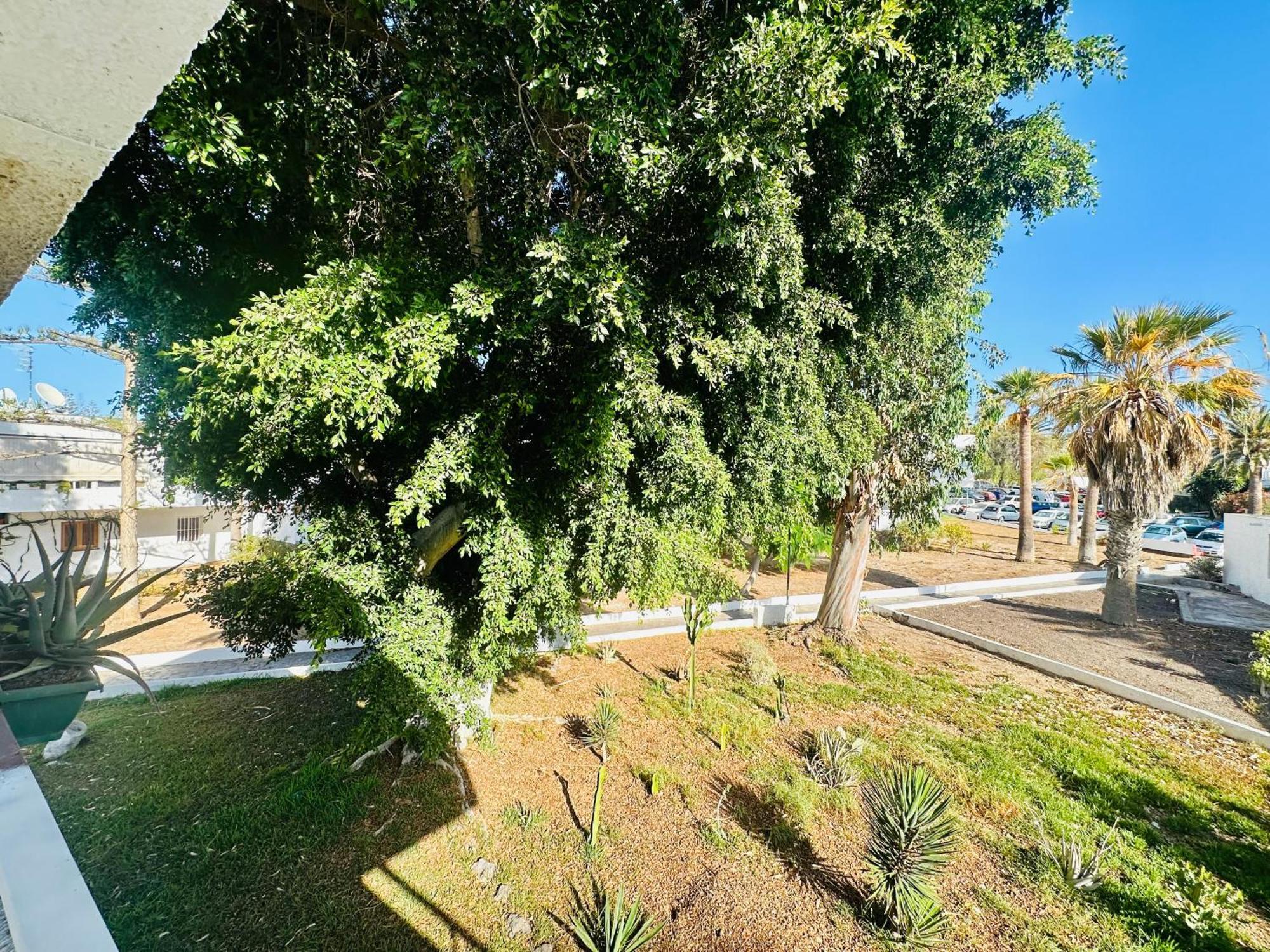 Apartamento Eureka קוסטה דל סילנסיו מראה חיצוני תמונה